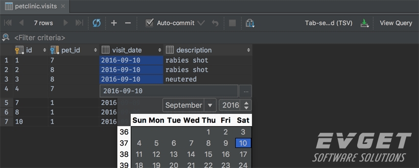 IntelliJ IDEA 2016.3